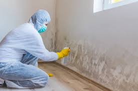 Environmental Consulting for Mold Prevention in Peachtree Corners, GA